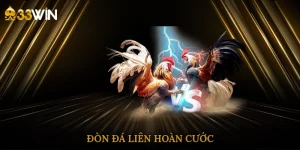 don-da-lien-hoan-cuoc-4