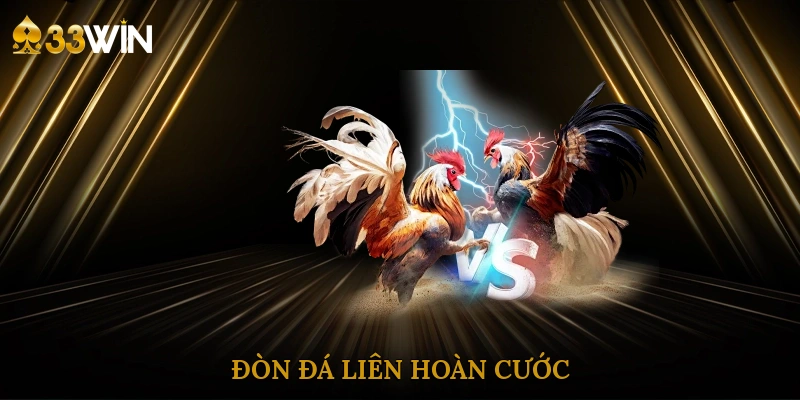 don-da-lien-hoan-cuoc-4