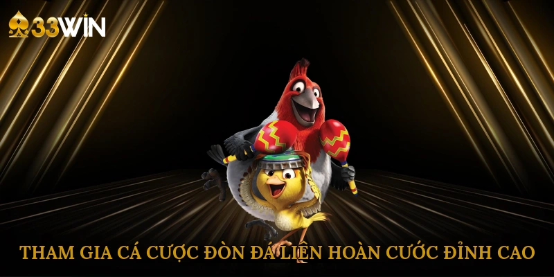 tham-gia-ca-cuoc-don-da-lien-hoan-cuoc-dinh-cao-2